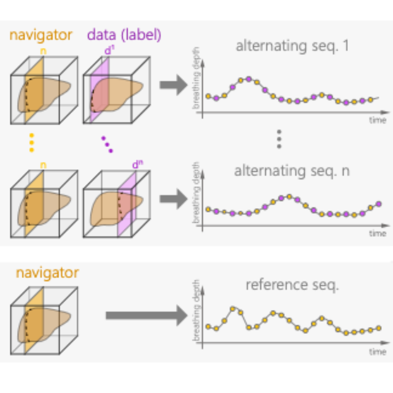 Using Training Samples as Transitive Information Bridges in Predicted 4D MRI