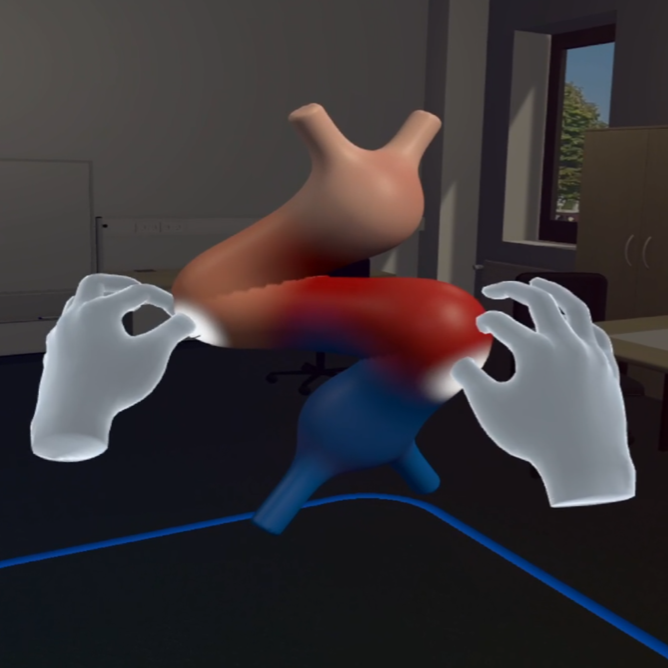 CardioGenesis4D: Interactive Morphological Transitions of Embryonic Heart Development in a Virtual Learning Environment