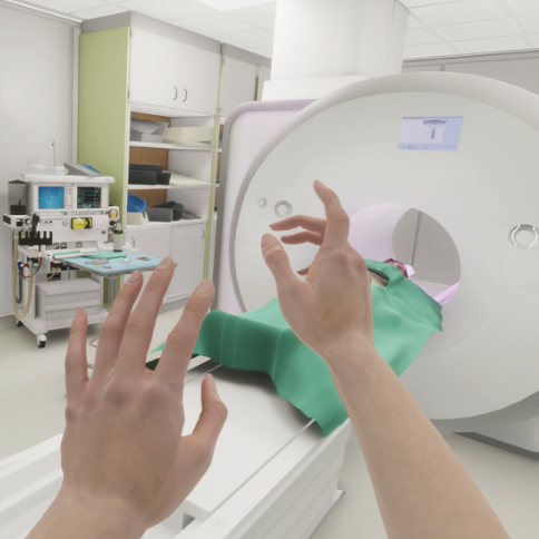 Is this the vReal Life? Manipulating Visual Fidelity of Immersive Environments for Medical Task Simulation