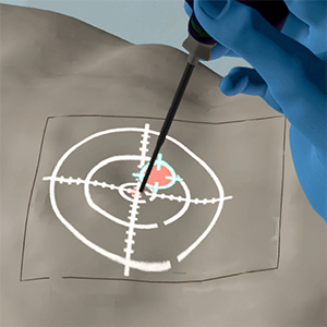 Simulating projective Augmented Reality Visualizations in Virtual Reality: Is VR a feasible Environment for medical AR Evaluations?