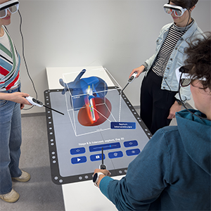CardioCoLab: Collaborative Learning of Embryonic Heart Anatomy in Mixed Reality