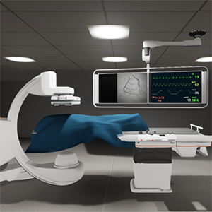 A virtual patient authoring tool for transcatheter aortic valve replacement