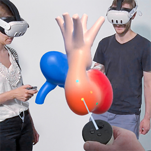 Stand Alone or Stay Together: An In-situ Experiment of Mixed-Reality Applications in Embryonic Anatomy Education