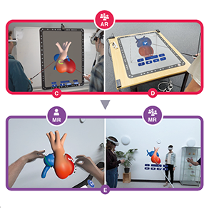 Too Heart to Handle? Exploring Self-Directed And Collaborative Virtual Learning Environments in Anatomy Education.