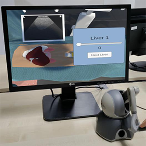 Impact of Input and Output Devices on a Virtual Ultrasound Training